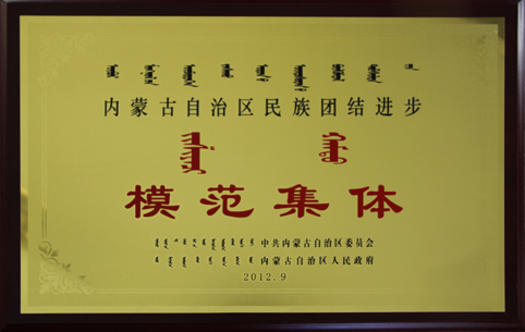 自治區(qū)民族團(tuán)結(jié)進(jìn)步模范集體
